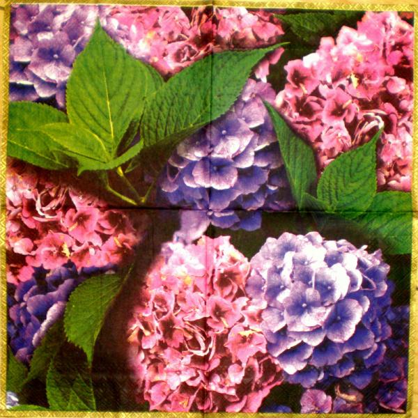 012 Hydrangeas - 3-ply (pink) - The National Trust - Ihr